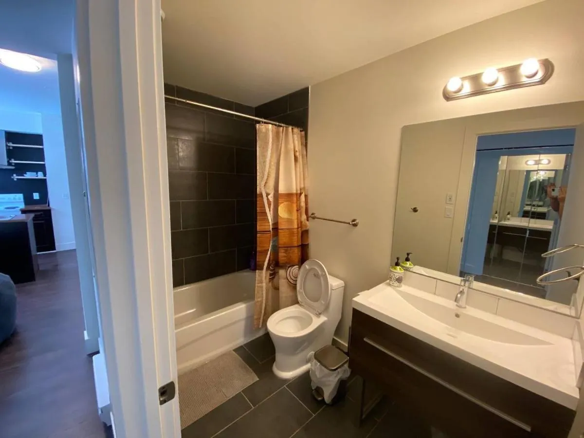 Brand New 1 Bedroom 1 Bath Close To All Walkable Edmonton Kanada